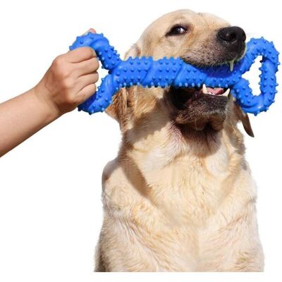 TEHTUY Durable Rubber Dog Chew Toy - 13 Inch Bone with Convex Design - Interactive and Sturdy for Puppies and Aggressive Dogs of All Sizes - Blue TEHTUY Durable Rubber Dog Chew Toy - 13 Inch Bone with Convex Design - Interactive and Sturdy for Puppies and Aggressive Dogs of All Sizes - Blue
