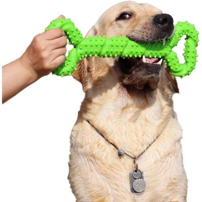 TEHTUY Durable Rubber Dog Chew Toy - 13 Inch Bone with Convex Design - Interactive and Sturdy for Puppies and Aggressive Dogs of All Sizes - Green TEHTUY Durable Rubber Dog Chew Toy - 13 Inch Bone with Convex Design - Interactive and Sturdy for Puppies and Aggressive Dogs of All Sizes - Green