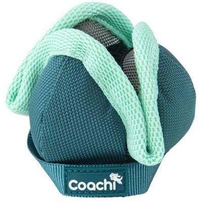 Coachi Dog Harness - Pet: Dog, Type: Harness, Material: Polyester Coachi Dog Harness - Pet: Dog, Type: Harness, Material: Polyester