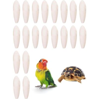 TEHTUY Pack of 20 Cuttlefish 45cm for Birds, Turtles, Reptiles - Natural Chew Toys for Parrots, Squid and Pets TEHTUY Pack of 20 Cuttlefish 45cm for Birds, Turtles, Reptiles - Natural Chew Toys for Parrots, Squid and Pets