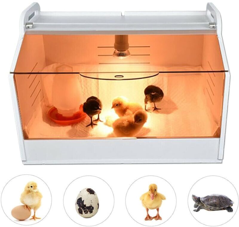 CNCEST 220V Fully Automatic Chicken Incubator Chick Heater with Thermometer and Chick Heat Lamp Chick Brooding Box, Reptiles Poultry Brooding Machine for
