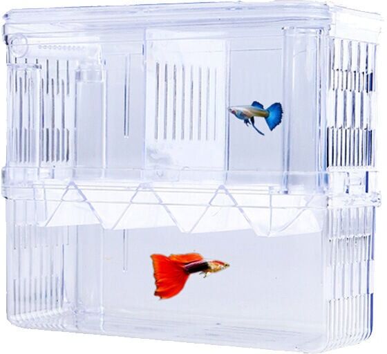 AlwaysH 1 PCS Aquarium Baby Nesting Nest Aquarium Mini Aquarium Fish Tank Aquarium Breeding Box Aquarium Isolation Box with Insulation Compartment