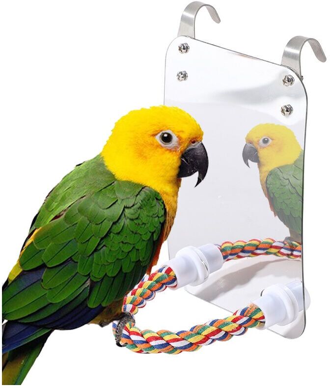 CYSLMUK Bird Mirror Toy with Rope, Parrot Hanging Toy Large Mirror Chew Toy for Parrot Budgie Pet Supplies (Size : Acrylic)
