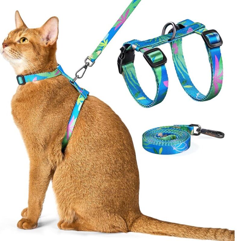 Groofoo - Cat Harness and Leash Set - Escape Proof Adjustable Cat Harness, Comfortable Soft Lightweight, Use Safe & Easy, Walking Travel Kitten
