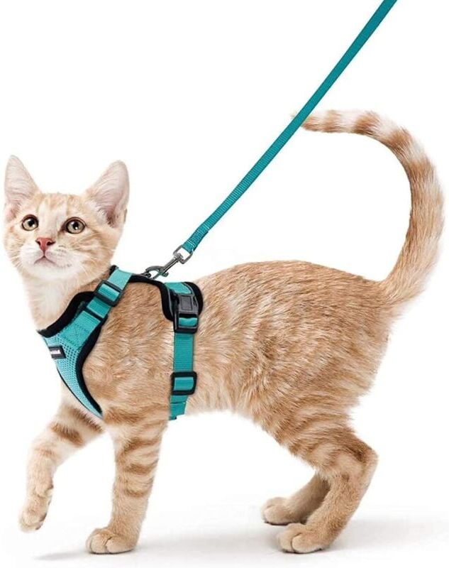 IKODM Cat Harness Small Dog Leash Adjustable Kitten Harness Green xs Reflective Cat Harness Collar Breathable Vest for Rabbit, European Cat, Maine Coon,