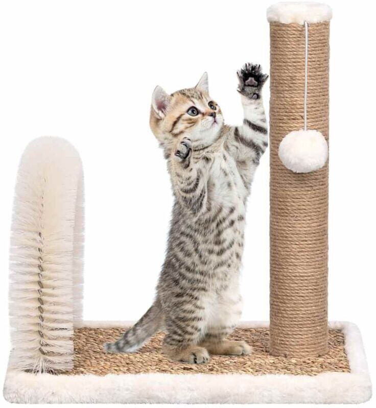 Cat Tree with Arch Grooming Brush and Scratch Post Vidaxl