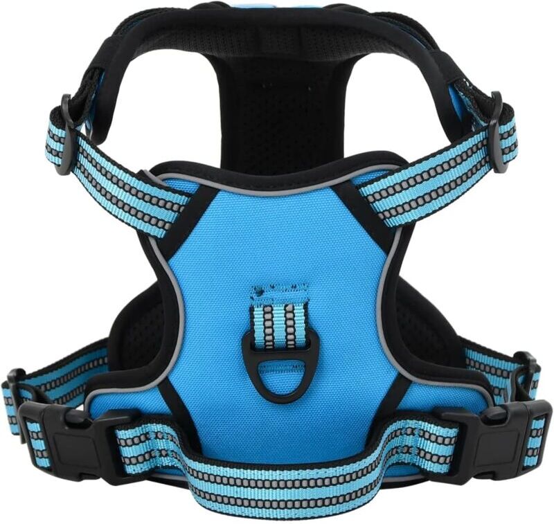 Vidaxl - Dog Harness with Lead & Collar Adjustable Blue m