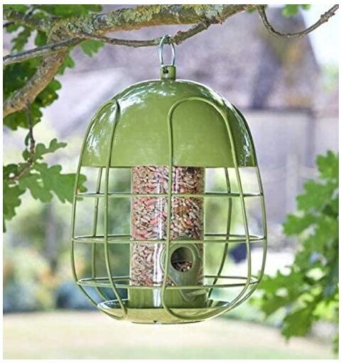 Smart Garden - Acorn Bird Seed Feeder, squirrel guard Bird Feeder, Bird Food Station