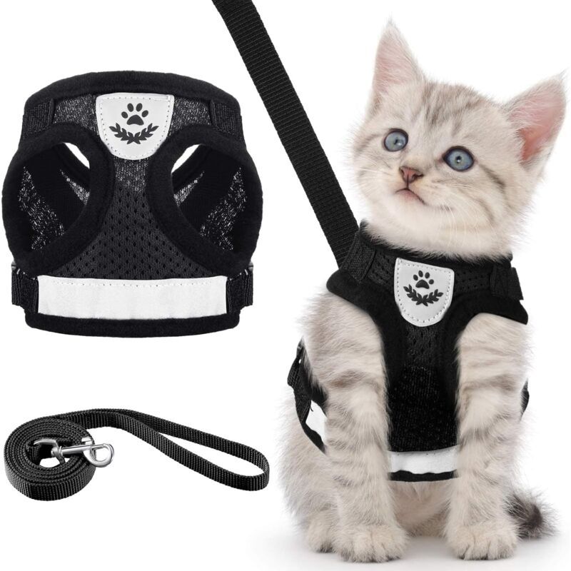 Dhklfa - Harness and Leash Set for Puppy/Cat Harness Vest Adjustable Leak Proof Soft Mesh Breathable Mesh Chest Leash for Dog Cat Pets (Black)