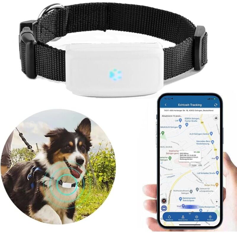 Readcly - Mini Pet gps Tracker, Dog gps Tracker, Pet Dog Cat gps Tracker Real Time Tracking & Activity Monitor Tracker Tk911