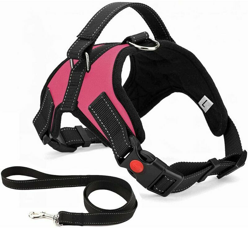 Hoopzi - No Pull Dog Harness Breathable Adjustable Comfort co.ukee Lead Included for Small Medium Large Dog Best for Training Walking l Pink