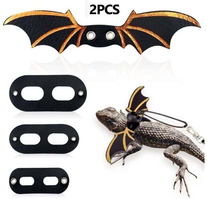 YMYNY Pack Adjustable Lizard Leash, Winged Bearded Dragon Harness, Soft Leash for Reptiles, Leopard Geckos, Amphibians and Other Small Animals (Black) mumu