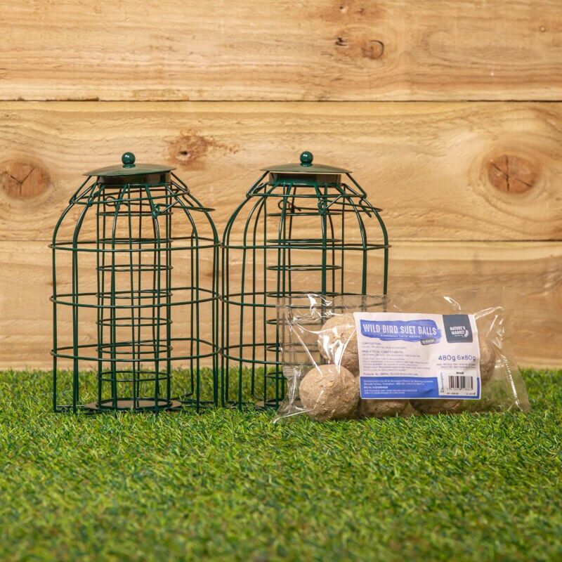 Samuel Alexander - Pack of 2 Metal Hanging Bird Fat Ball Feeder with Squirrel Guard & Pack of 6 Suet Fat Balls