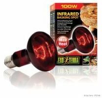 Exo Terra - Infrared Basking Spot - 100w - 100w - 537824