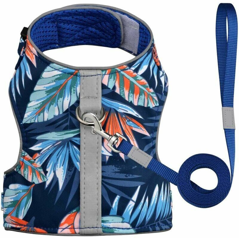 HOOPZI Pet Harness for Cat and Small Dog Puppy, with 1.5m Nylon Leash, Anti Lost Sticker (XS, Navy Blue)