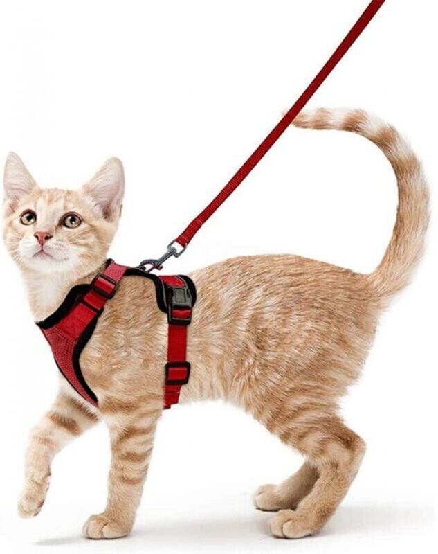Piece (S-Red) Small Dog and Cat Harness Leash Adjustable Red Kitten Reflective Collar Breathable Vest Rabbit Ymyny