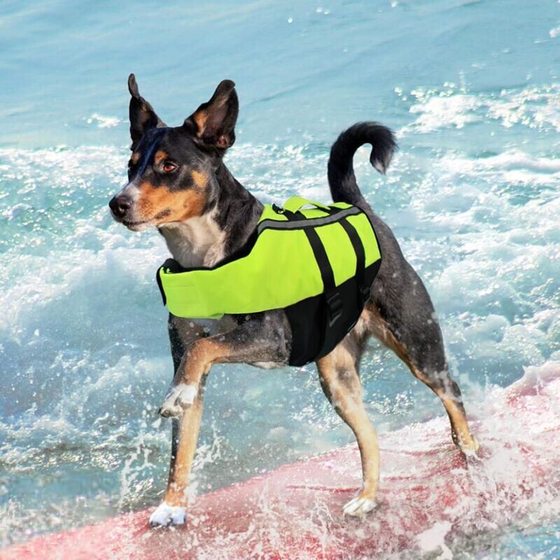 Memkey - Portable Dog Life Jacket Dog Life Vest Pet Life Jacket with Reflective Strip for Medium Dogs-M