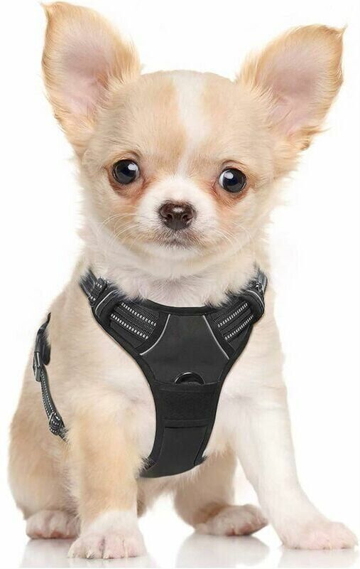 Dewdat - Rabbitgoo Dog Harness, Anti-Pull Harness with 2 Leash Clips, Adjustable Soft Padded Dog Vest, Choke-Free Reflective Oxford Vest with Easy