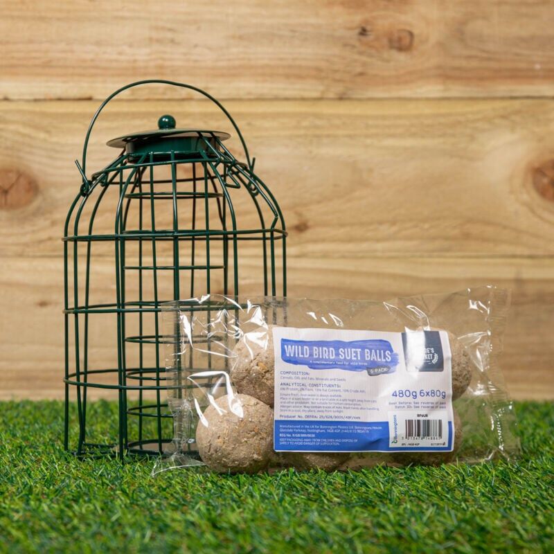 Samuel Alexander - Metal Hanging Bird Fat Ball Feeder with Squirrel Guard & Pack of 6 Suet Fat Balls
