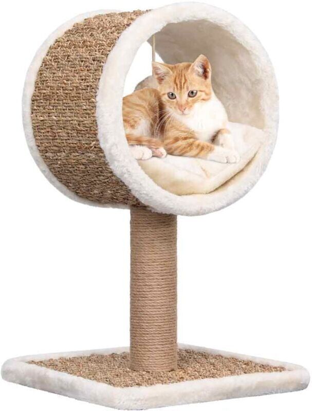 Cat Tree with Top Tunnel and Toy 56 cm Seagrass Vidaxl