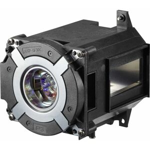 NEC Original Lamp NPPA653U Projector