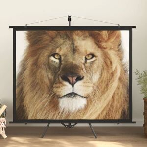 Berkfield Home - Royalton Projection Screen 72' 4:3