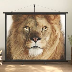 Berkfield Home - Royalton Projection Screen 84' 4:3