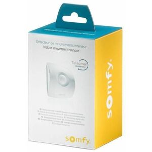 2401361 Infrared sensor Wireless Wall White motion detector - Somfy