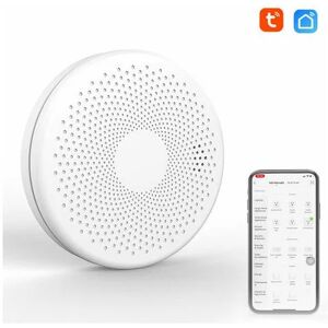 NEIGE Tuya WiFi 2 in 1 Smokes Carbon Smokes co co detectors sound detectors flash Light Alarm Function: Model: white