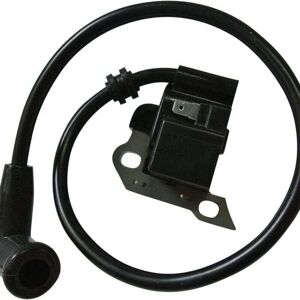 TEHTUY Ignition coil for Stihl BR340 BR340 L BR380 BR420 BR420 C SR340 SR420 backpack blower with spark plug, spare part 4203 400 1302 TEHTUY Ignition coil for Stihl BR340 BR340 L BR380 BR420 BR420 C SR340 SR420 backpack blower with spark plug, spare part 4203 400 1302