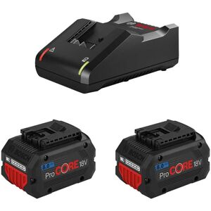 Power Set BOSCH (2 x 18V 8,0 Ah ProCORE + GAL18V-40) Power Set BOSCH (2 x 18V 8,0 Ah ProCORE + GAL18V-40)