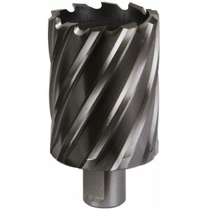 Sealey - Rotabor Cutter hss �48mm - Cut Depth 50mm RBHSS48L Sealey - Rotabor Cutter hss �48mm - Cut Depth 50mm RBHSS48L