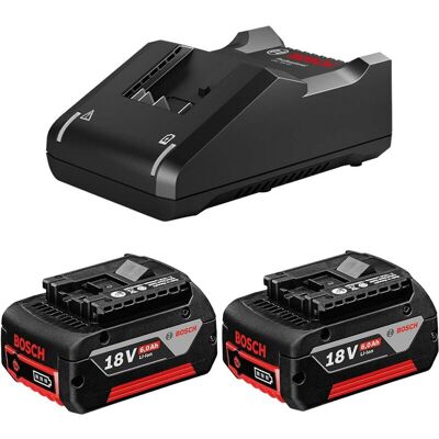 2xBosch 18v 6.0Ah Batteries Li-ion Cordless 6ah Coolpack & GAL18V40 Fast Charger 2xBosch 18v 6.0Ah Batteries Li-ion Cordless 6ah Coolpack & GAL18V40 Fast Charger