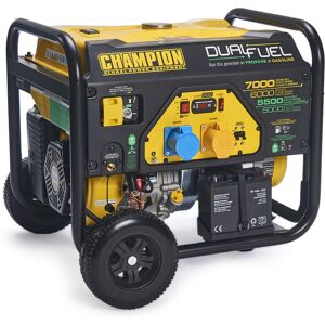 Champion 7000 Watt LPG Dual Fuel Generator With Electric Start