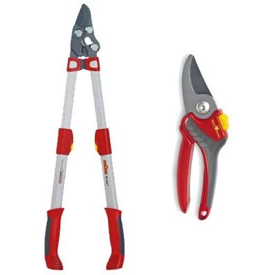 Wolf-garten - Wolf Garten RR900T power Cut Bypass Telescopic Loppers & RR2500 Pruner Secateurs Wolf-garten - Wolf Garten RR900T power Cut Bypass Telescopic Loppers & RR2500 Pruner Secateurs