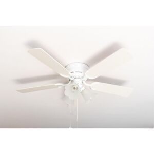 PEPEO Ceiling fan Kisa Deluxe wh White / Maple with lights