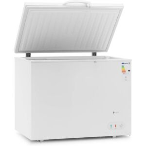 ROYAL CATERING Commercial Chest Freezer Deep Freezer With Lock Baskets 272 l 63 w R600a