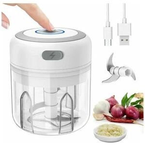 ROSE Mini Mixer Blender Electric Chopper Small Mixer Garlic Press Chopper Vegetable Chopper Onion Garlic Cutter, Multi Chopper for Meat, Vegetables