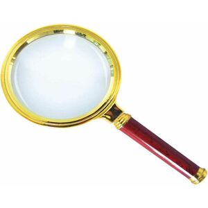 10X Handheld Magnifier, 10X Reading Magnifier with Rosewood Handle for Reading Books and Newspapers, Insect - Alwaysh