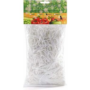 1.6m x 10m Garden Netting Polyester Trellis Netting Plant Pea Support Net for Flower Climbing (White) - Alwaysh