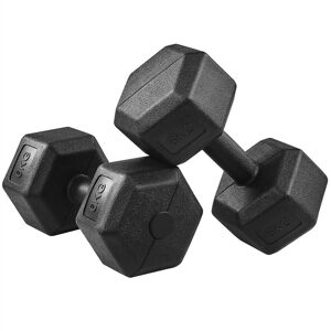 2 x 6 kg (Sold in Pair) Hexagon Dumbbell Set for Strength Workouts, Black - Yaheetech