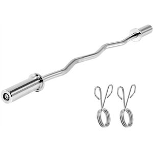 Chrome-plated Curl Bar with 2 Spring Clips for Bicep & Upper Body Workouts Home Gym Essential, Silver - Yaheetech