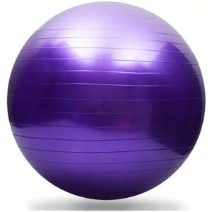 ROSE Exercise Ball for Yoga Fitness 45cm Extra Thick Balance and Stability Ball