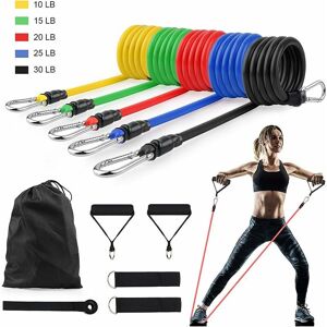 Langray - Exercise Resistance Bands,11-Piece Resistance Bands Set for Physio Home Gym Equipment,Workout Fitness Set for Women Men,Ideal for Strength