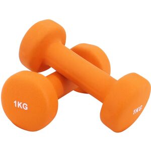 Neoprene Dumbbell Home Gym Fitness Arm Hand Weights Pilates Dumbbells Set 1Kg (pair) Orange - Greenbay