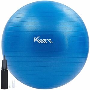 KM-FIT Gym ball 65 cm training ball with air pump sitting ball office anti-burst ball for fitness, yoga, gymnastics, core training pezziball yoga ball