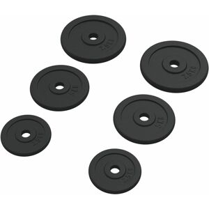 Berkfield Home - Mayfair Weight Plates 6 pcs 30 kg Cast Iron