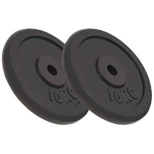 Berkfield Home - Royalton Weight Plates 2 pcs 2x10 kg Cast Iron