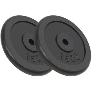 BERKFIELD HOME Royalton Weight Plates 2 pcs 2x15 kg Cast Iron