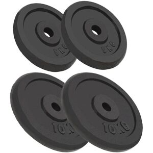 Berkfield Home - Royalton Weight Plates 4 pcs 2x10 kg+2x5 kg Cast Iron